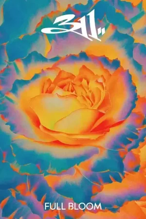 311 - Full Bloom Factory Price