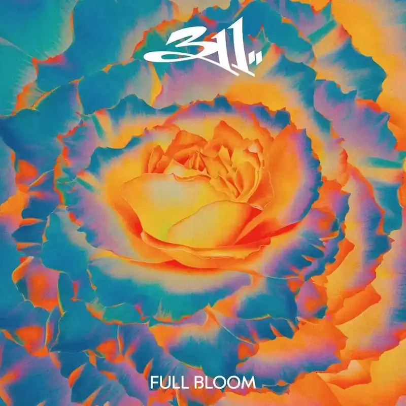 311 - Full Bloom Factory Price