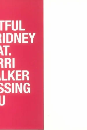 Warranty Included Artful & Ridney Feat. Terri Walker - Missing You