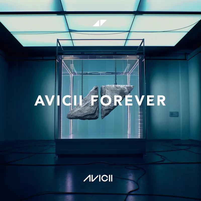 Hot Picks Avicii - Forever