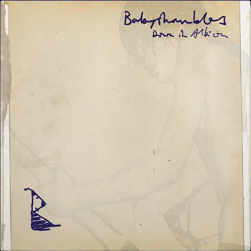 Babyshambles - Down In Albion (20th Anniversary Edition) Save Now