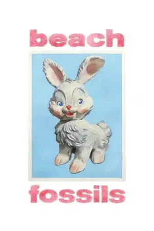 Beach Fossils - Bunny Order Now