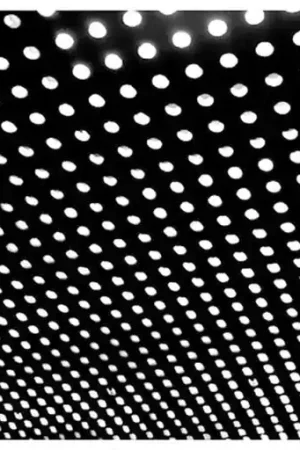 Beach House - Bloom Top Pick