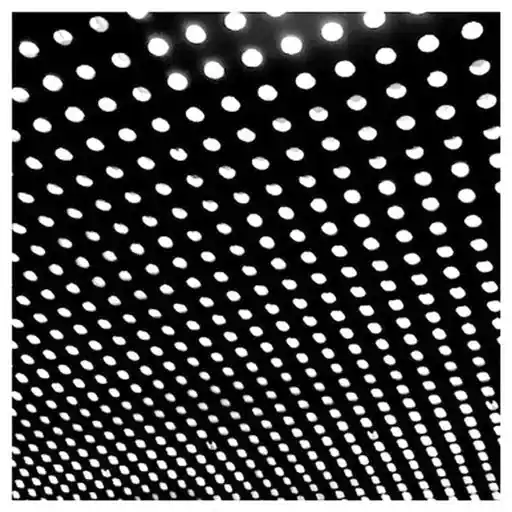 Beach House - Bloom Top Pick