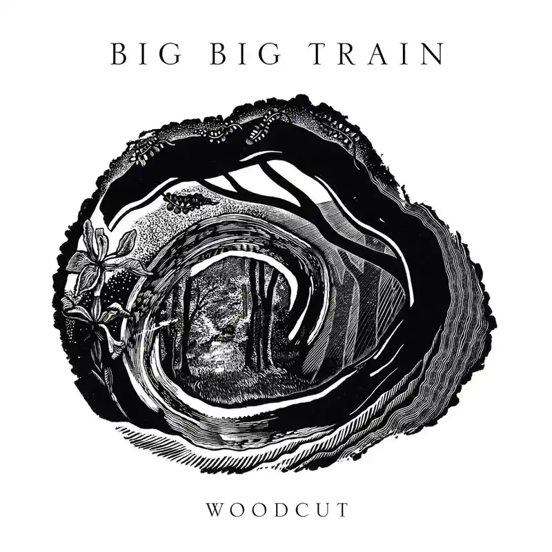 Big Big Train - Woodcut - Vinilo Instore & Signing Special Discount