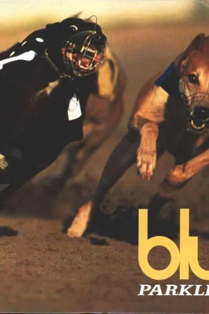 Blur - Parklife Premium