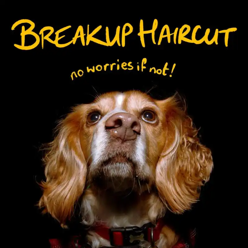 Hot Deal Breakup Haircut - Spite! Spite! Spite!