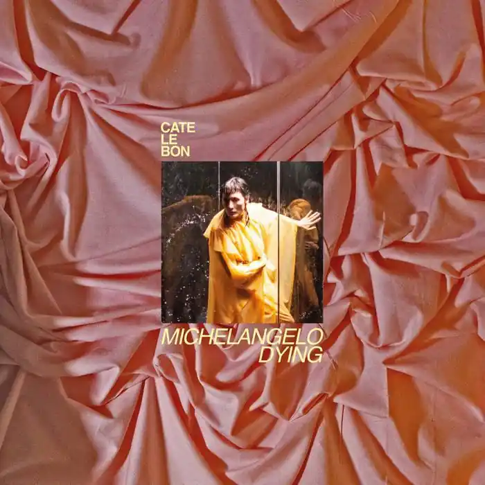 Cate Le Bon - Michelangelo Dying Direct From Factory