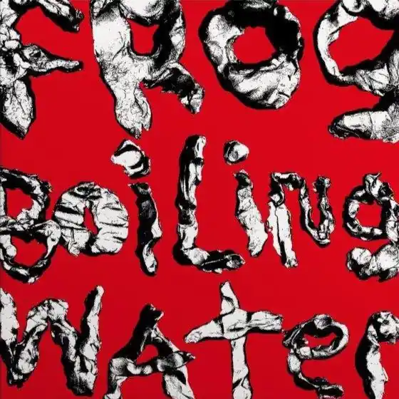 DIIV - Frog In Boiling Water High Quality