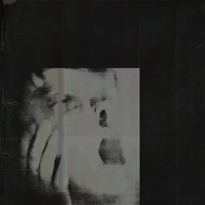 DITZ - Never Exhale High Quality