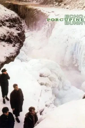 Reduced Price Echo & The Bunnymen - Porcupine