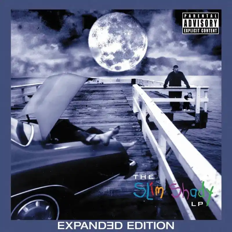 Professional Grade Eminem - The Slim Shady LP