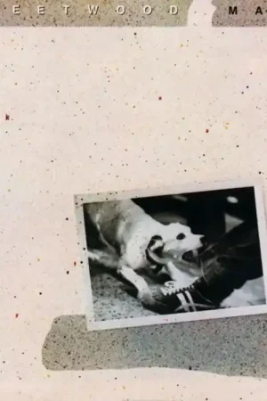 Viral Fleetwood Mac - Tusk