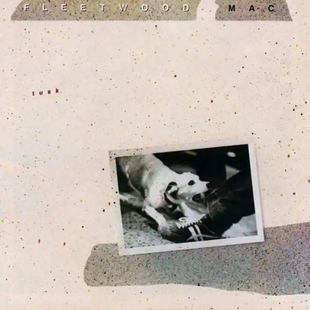 Viral Fleetwood Mac - Tusk