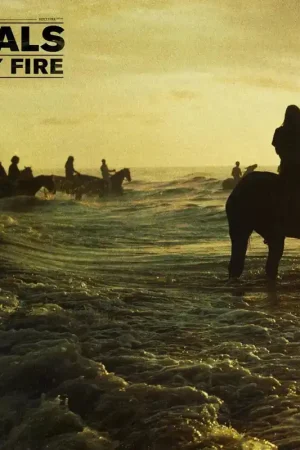Weekend Sale Foals - Holy Fire