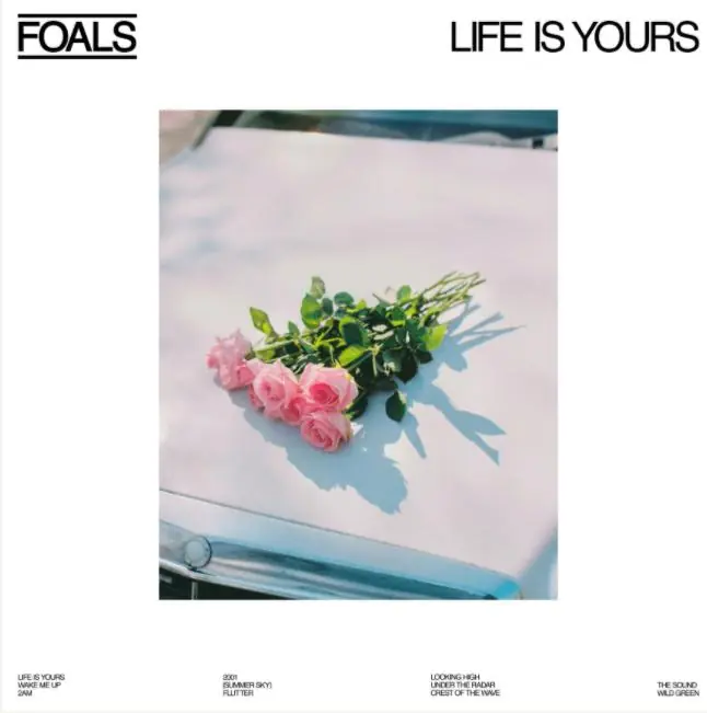 Fresh Stock Foals - Life Is Yours