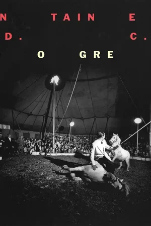 Direct From Factory Fontaines D.C. - Dogrel