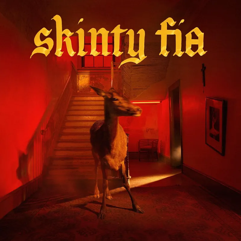 Fontaines D.C. - Skinty Fia Genuine