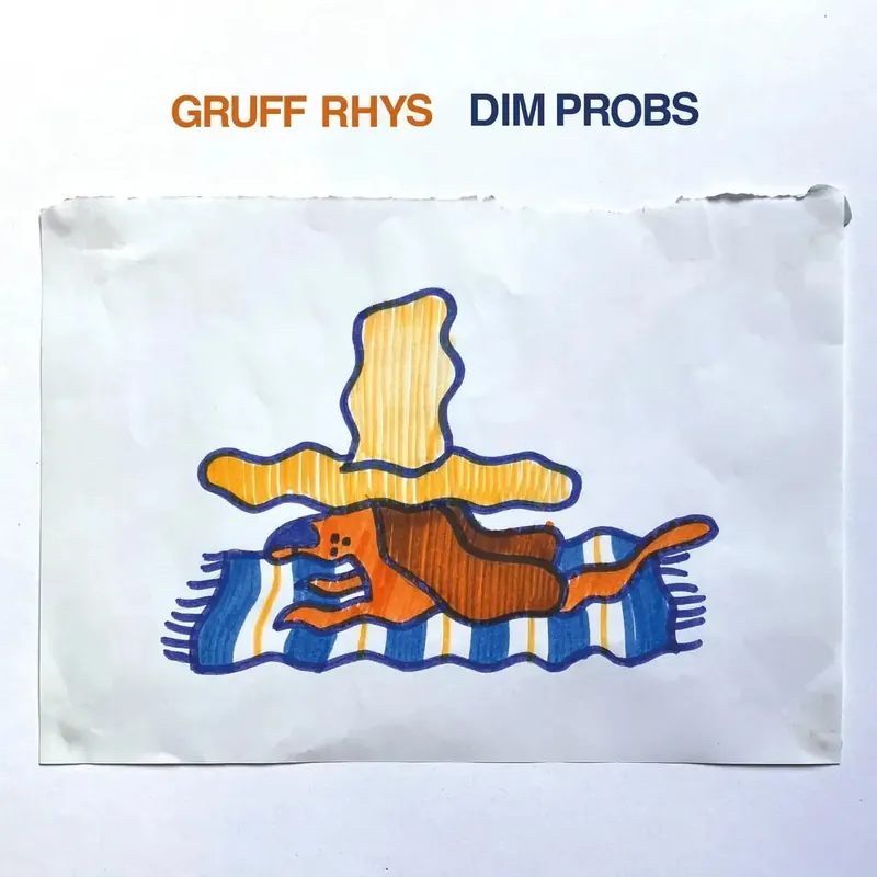 Special Discount Gruff Rhys - Dim Probs
