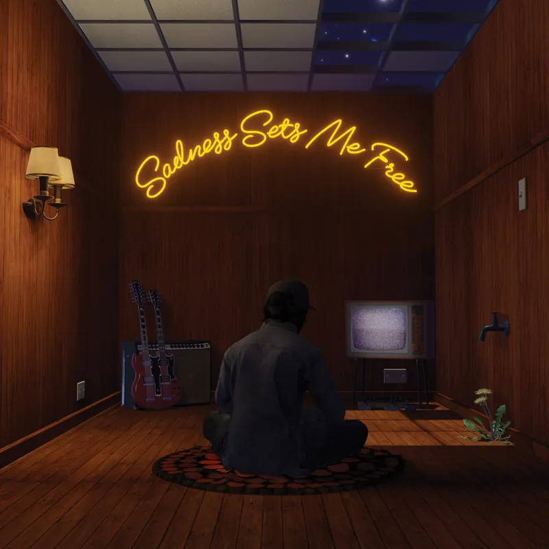 Holiday Sale Gruff Rhys - Sadness Sets Me Free