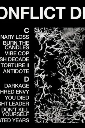 HEALTH - CONFLICT DLC Today Only