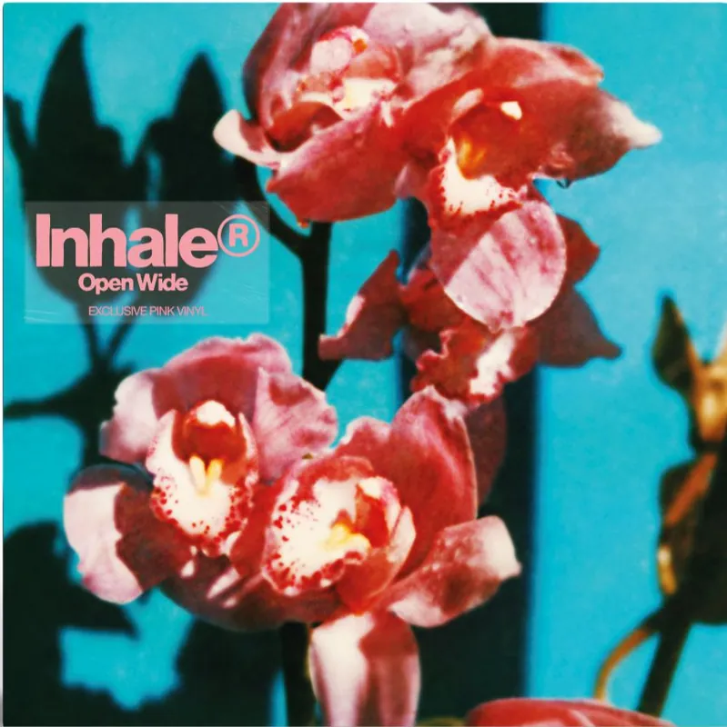 Inhaler - Open Wide Best Price