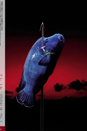 Joe Hisaishi - Sonatine (Original Soundtrack) Limited Offer