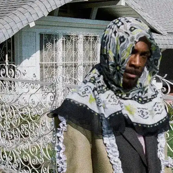 JPEGMAFIA - All My Heroes Are Cornballs Deal