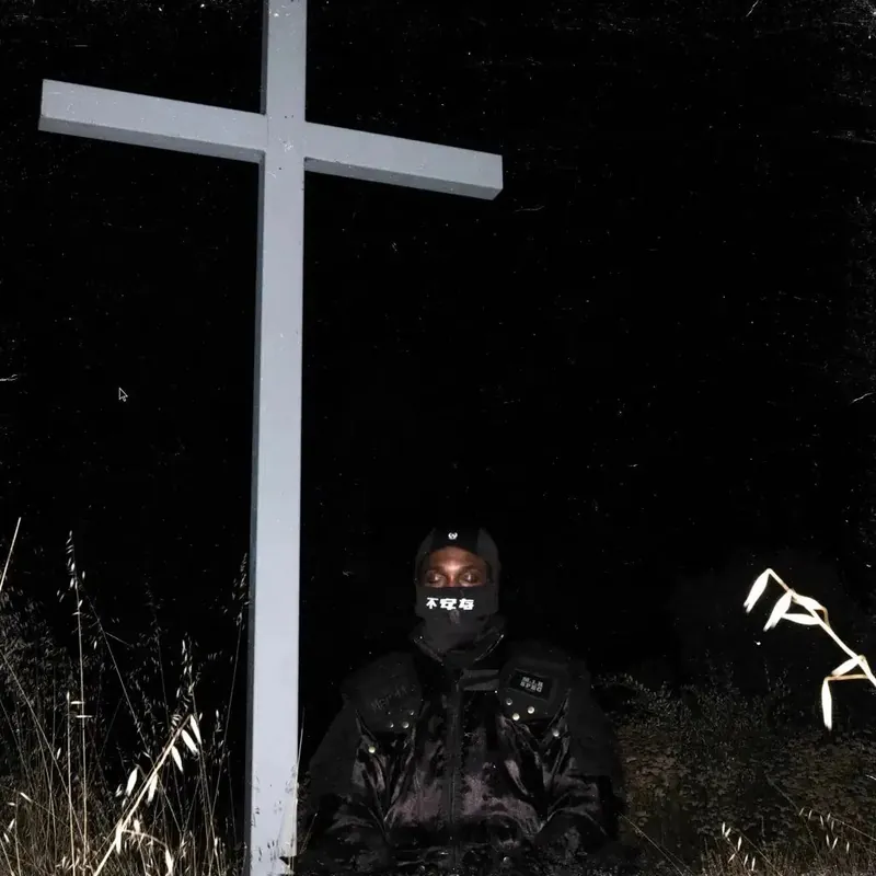 Free Shipping JPEGMAFIA - I Lay Down my life For You