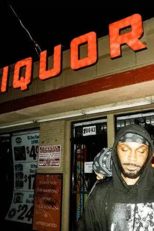 JPEGMAFIA - LP! New Release
