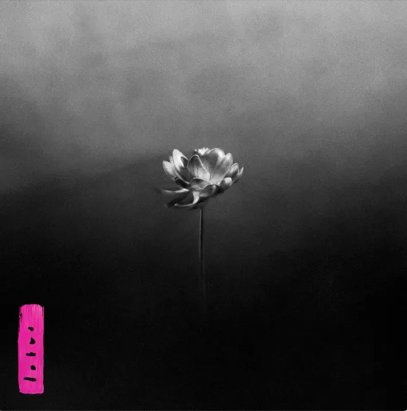 Little Simz - Lotus Express Delivery