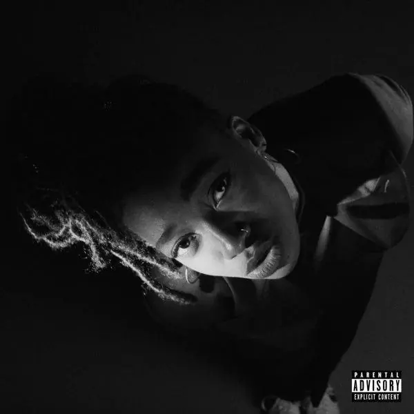 Low Price Little Simz – Grey Area