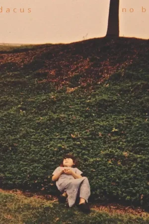 Best Choice Lucy Dacus - No Burden