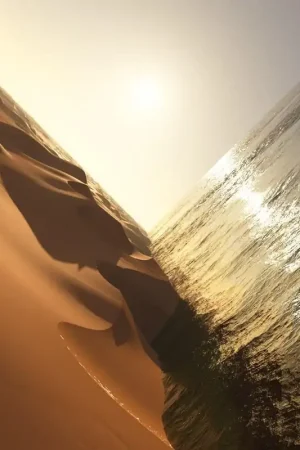 Same Day Shipping Mark Pritchard - Under The Sun