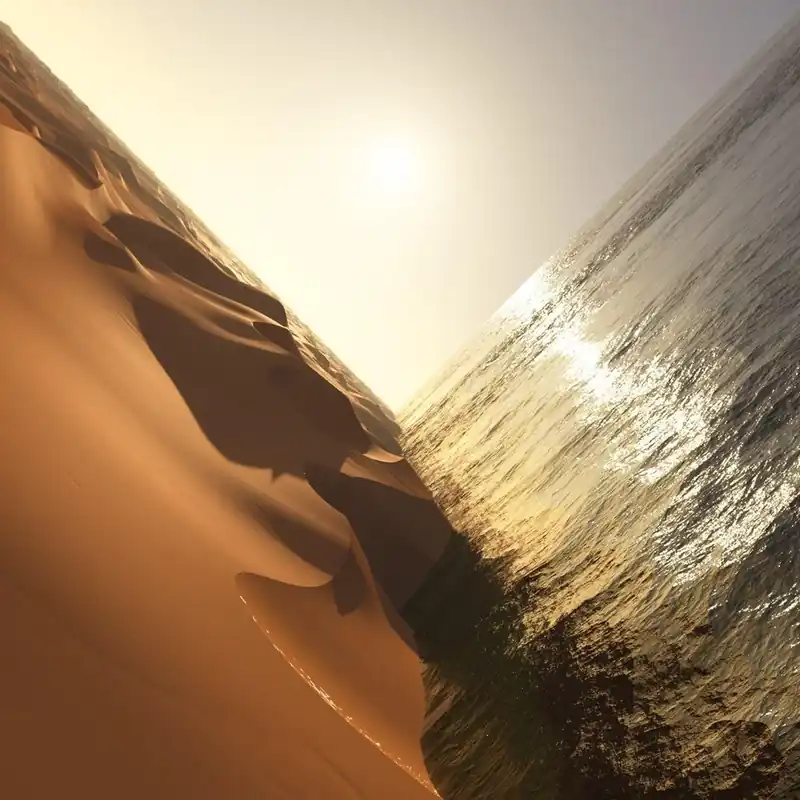 Same Day Shipping Mark Pritchard - Under The Sun