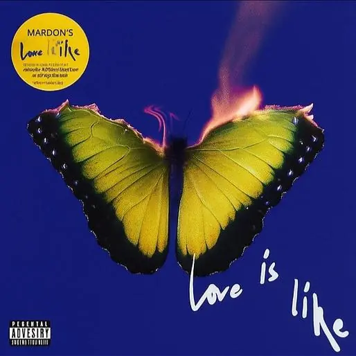 Maroon 5 - Love is Like Worldwide Shipping
