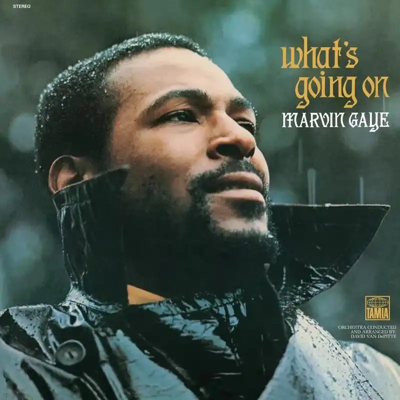 Marvin Gaye - What's Going On Exclusive Offer