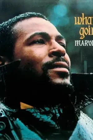 Marvin Gaye – What's Going On Limited Edition