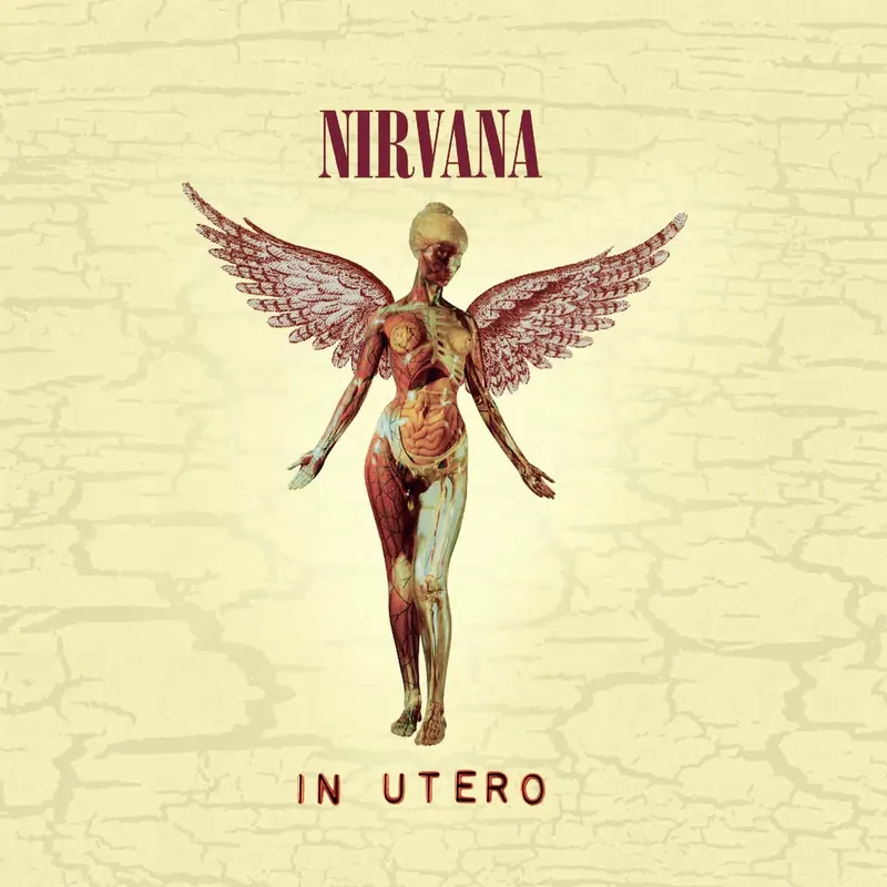 Nirvana - In Utero Popular