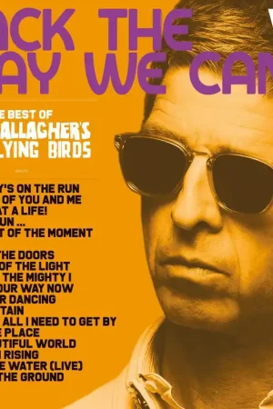 Worldwide Shipping Noel Gallagher's High Flying Birds - Back The Way We Came: Vol. 1 (2011 - 2021)