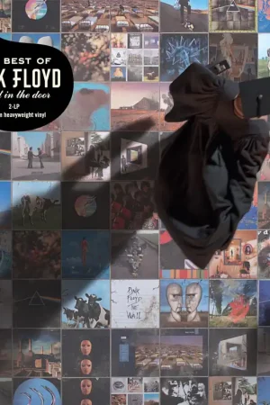 Pink Floyd - A Foot in the Door: The Best of Pink Floyd Free Delivery