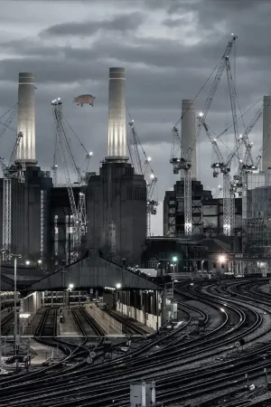 No Minimum Order Pink Floyd - Animals 2018 Remix