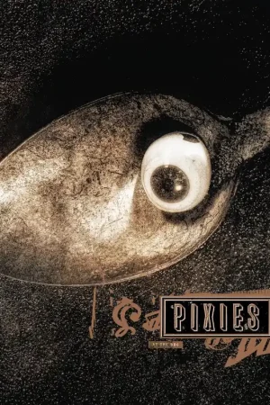While Supplies Last Pixies - Live At The BBC