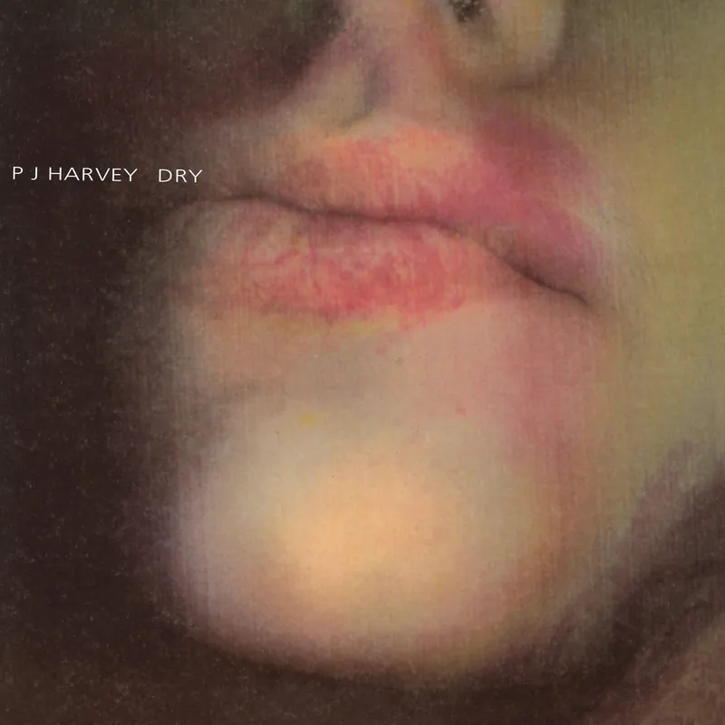Free Delivery PJ HARVEY - DRY