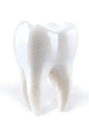 Top Pick Porij - Teething