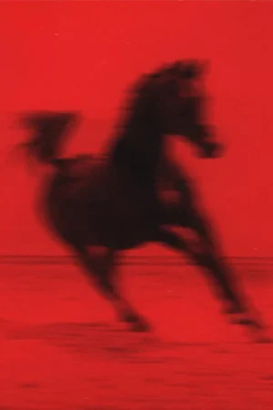 Top Rated Red Rum Club – BUCK