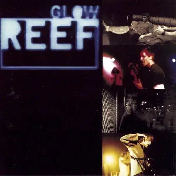 Price Drop Reef - Glow