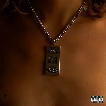 Clearance Sorry - 925 (Gold Vinyl)