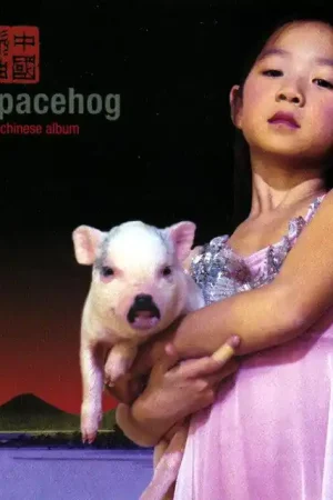 Bulk Order Spacehog - The Chinese Album