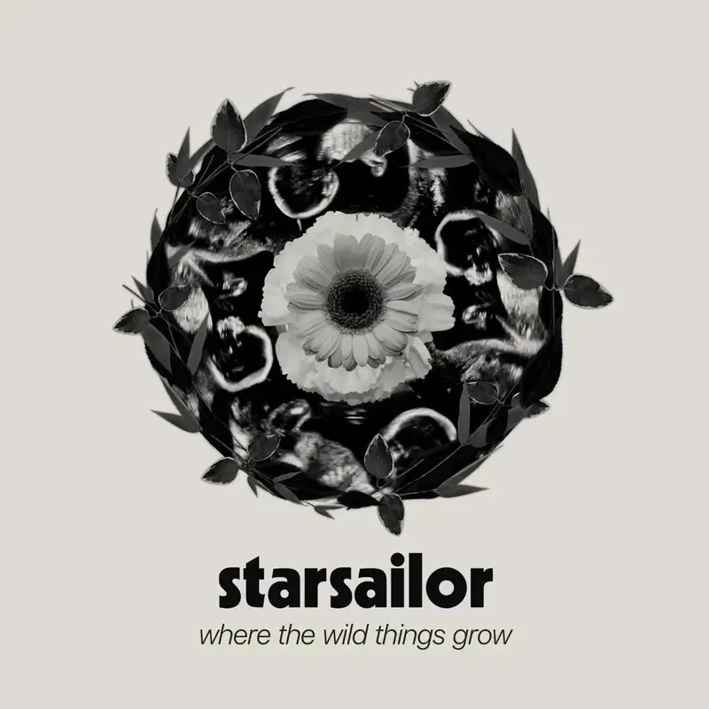 Warranty Included Starsailor - Where The Wild Things Grow